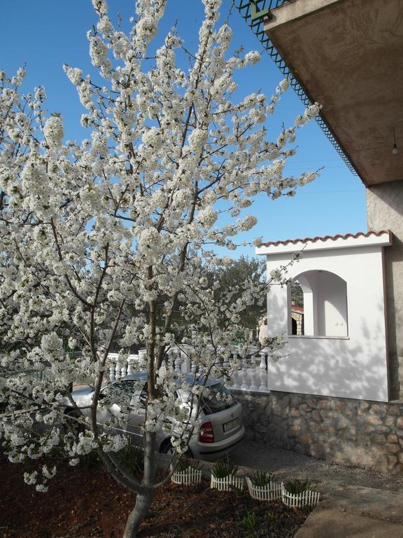 Apartment Antonio シベニク エクステリア 写真